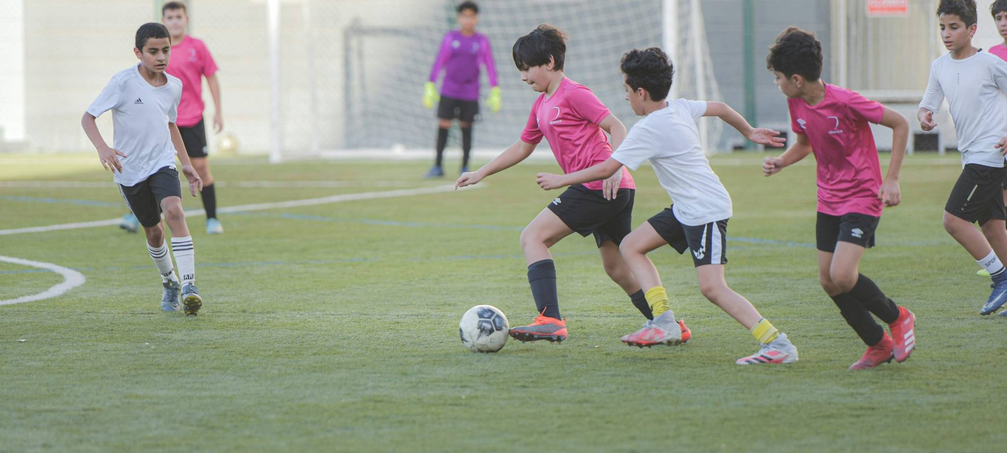 乐鱼体育官网团队